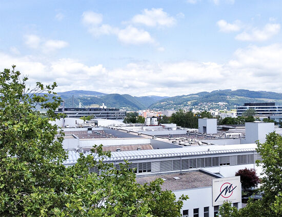 Stabilimento di Linz, salumi e prosciutti